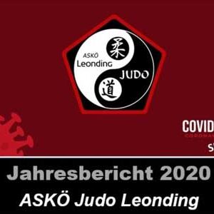 Jahresbericht 2020