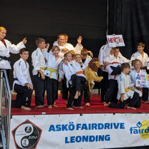 Judovorführung am Leondinger Stadtfest