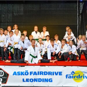 Judovorführung am Leondinger Stadtfest